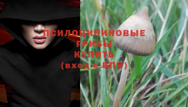 прущий лед Каменногорск