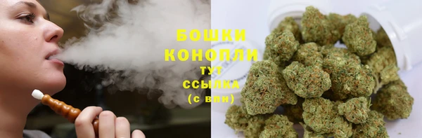 гидропоника Каменка