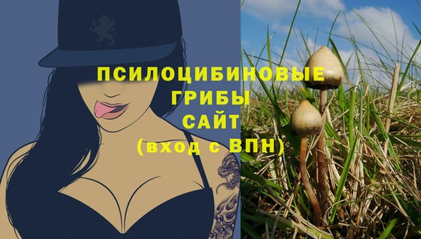 mix Инта