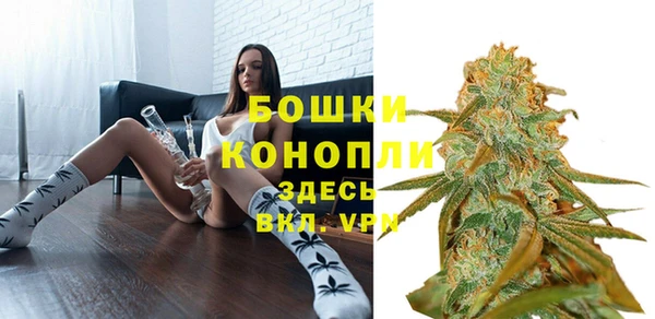 стаф Карталы