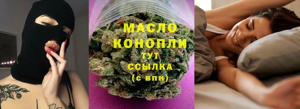 гидропоника Каменка